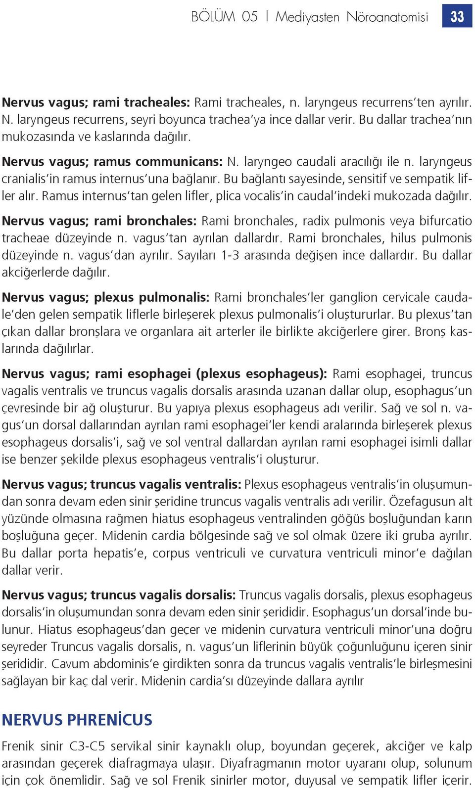 Bu bağlantı sayesinde, sensitif ve sempatik lifler alır. Ramus internus tan gelen lifler, plica vocalis in caudal indeki mukozada dağılır.