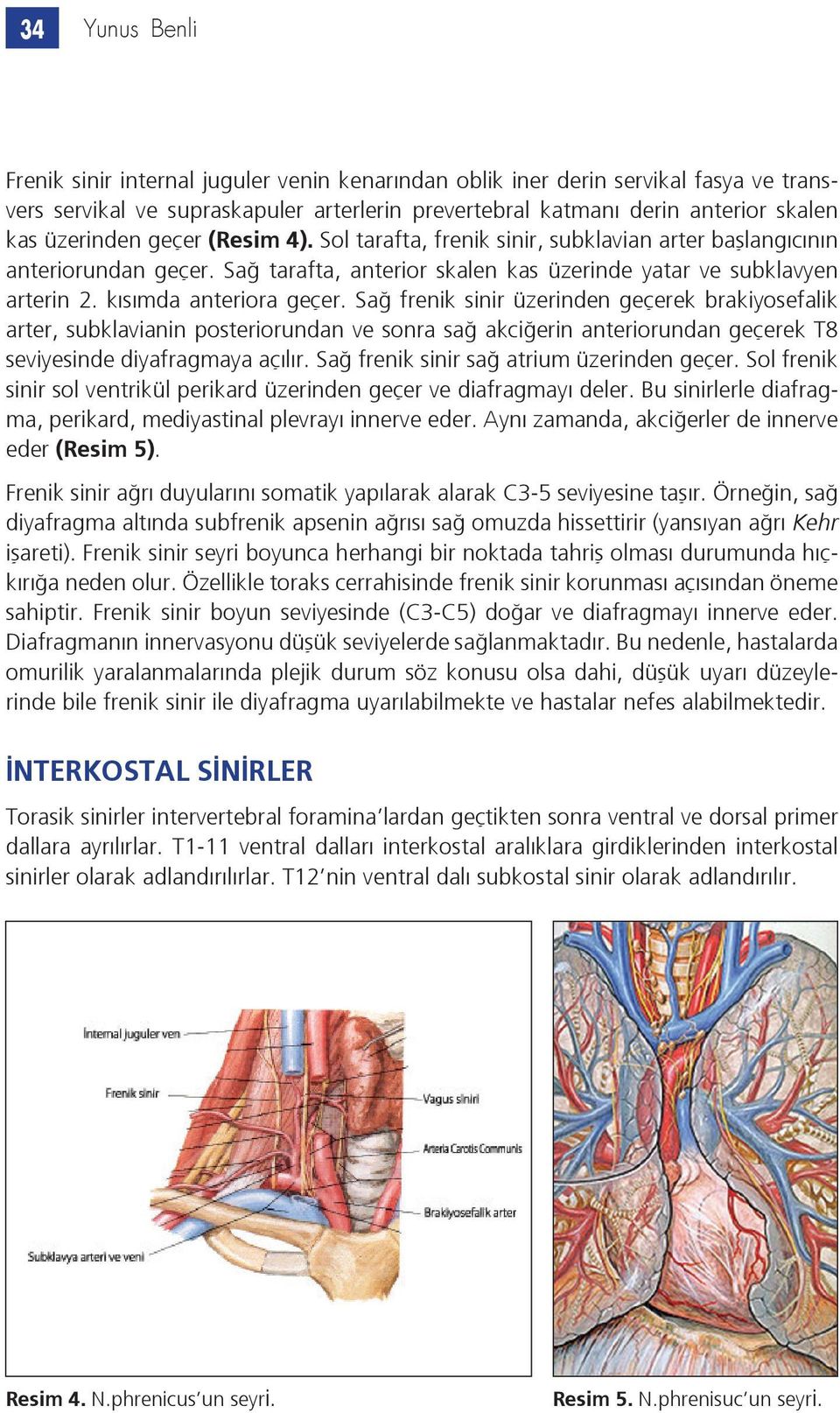 kısımda anteriora geçer. Sağ frenik sinir üzerinden geçerek brakiyosefalik arter, subklavianin posteriorundan ve sonra sağ akciğerin anteriorundan geçerek T8 seviyesinde diyafragmaya açılır.
