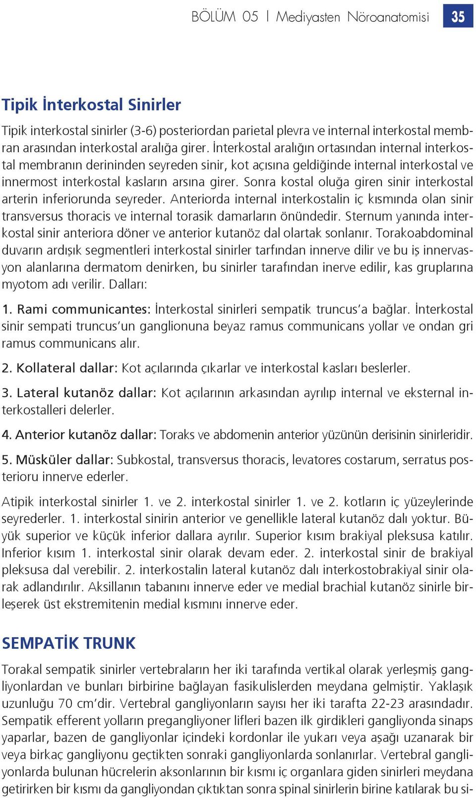 Sonra kostal oluğa giren sinir interkostal arterin inferiorunda seyreder. Anteriorda internal interkostalin iç kısmında olan sinir transversus thoracis ve internal torasik damarların önündedir.