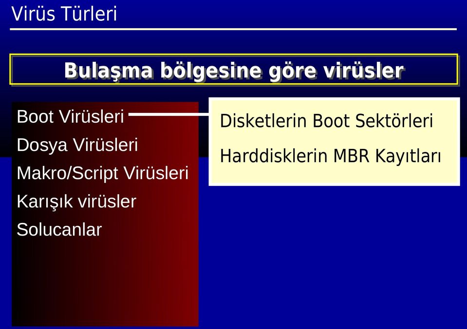 Virüsleri Karışık virüsler Solucanlar