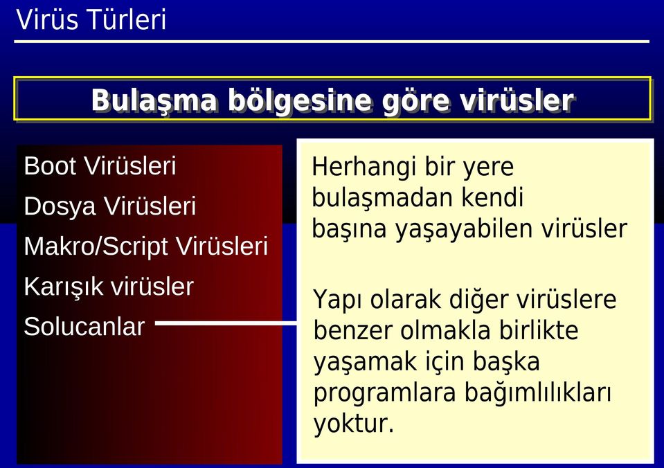 yere bulaşmadan kendi başına yaşayabilen virüsler Yapı olarak diğer