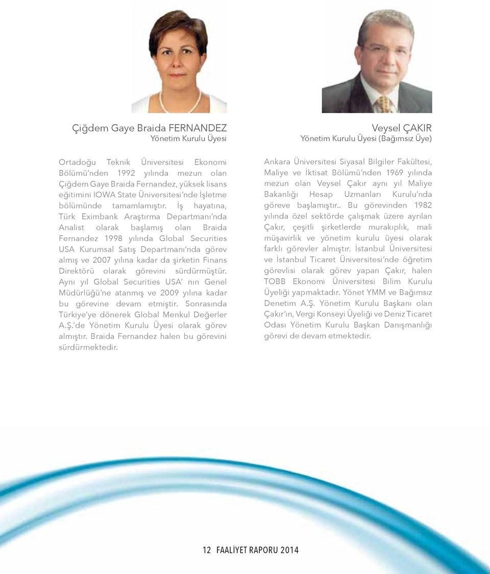 İş hayatına, Türk Eximbank Araştırma Departmanı nda Analist olarak başlamış olan Braida Fernandez 1998 yılında Global Securities USA Kurumsal Satış Departmanı nda görev almış ve 2007 yılına kadar da