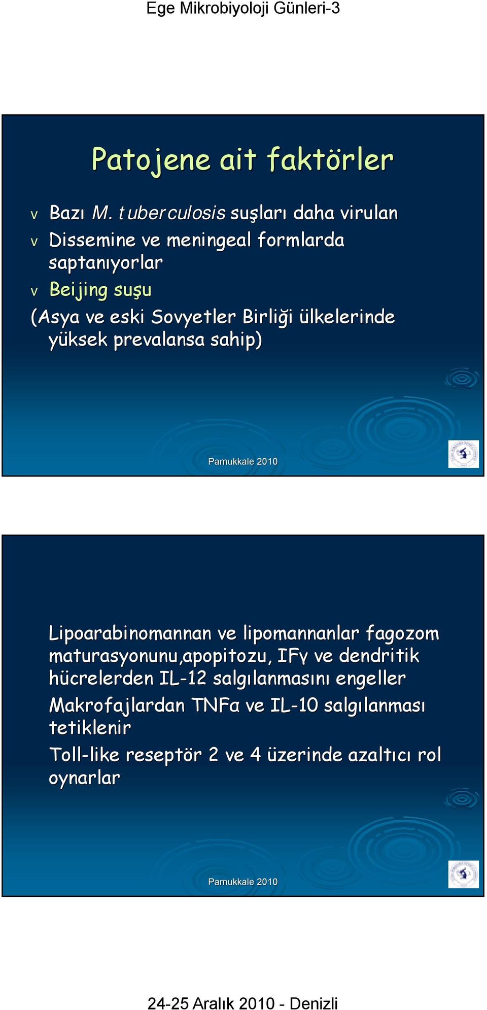 Sovyetler Birliği ülkelerinde yüksek prevalansa sahip) Lipoarabinomannan ve lipomannanlar fagozom