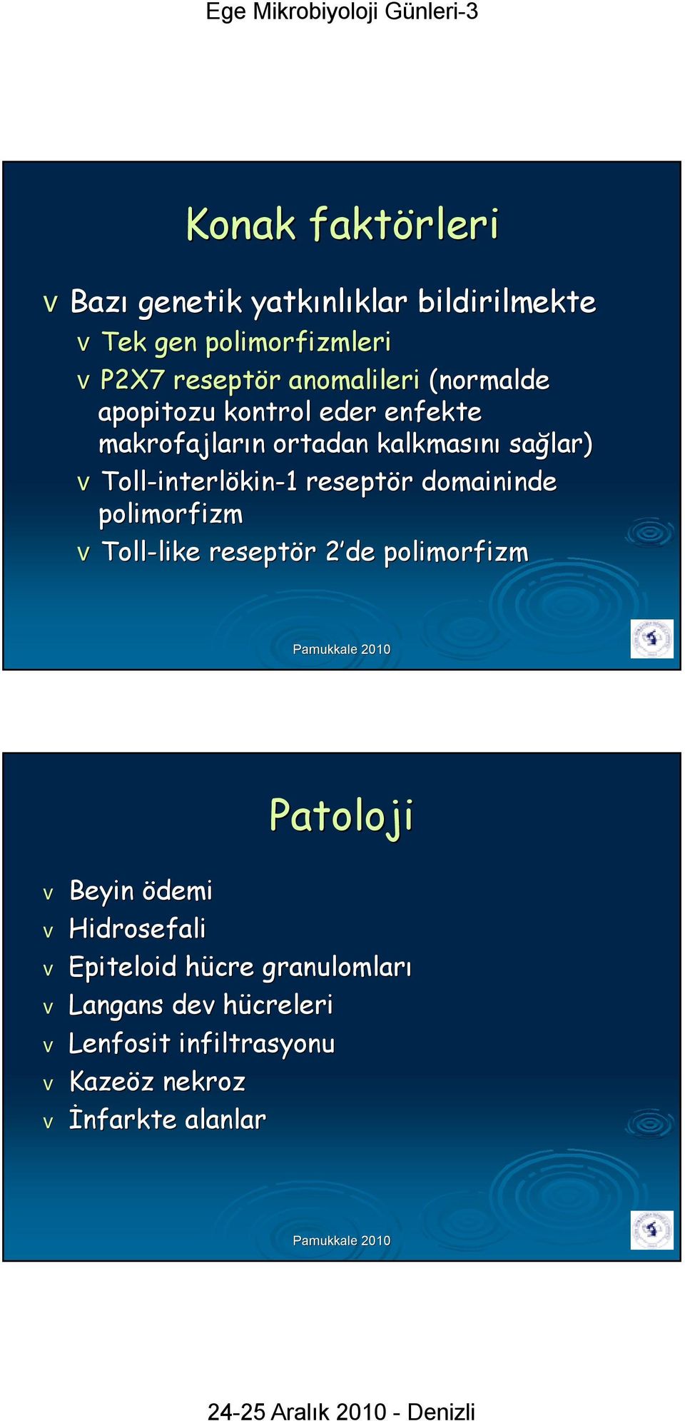 vtoll-interlökin-1 1 reseptör domaininde polimorfizm vtoll-likelike reseptör r 2 de 2 polimorfizm Patoloji v