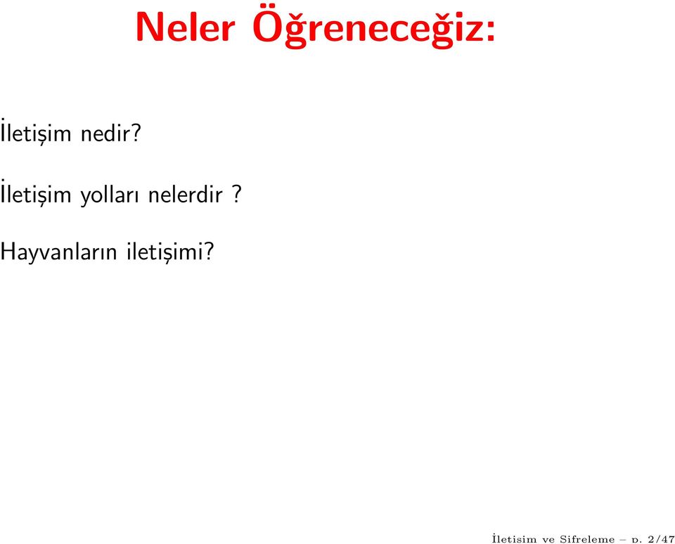 nedir?