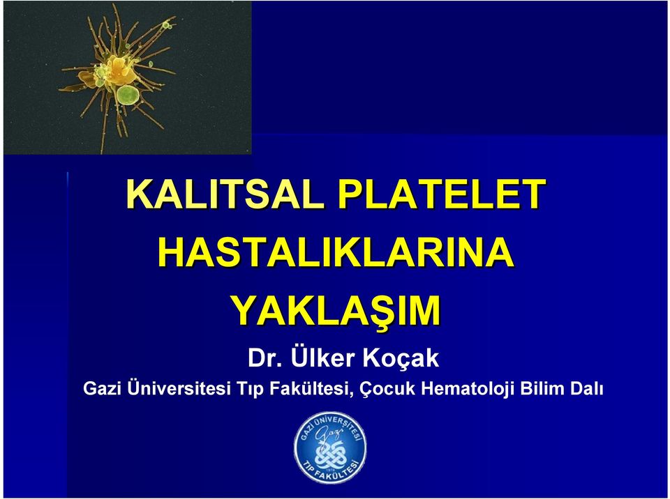 Ülker Koçak Gazi Üniversitesi