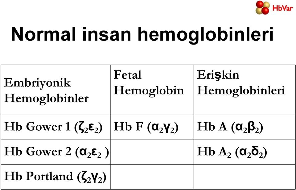 (ζ 2 ε 2 ) Hb F (α 2 γ 2 ) Hb A (α 2 β 2 ) Hb Gower