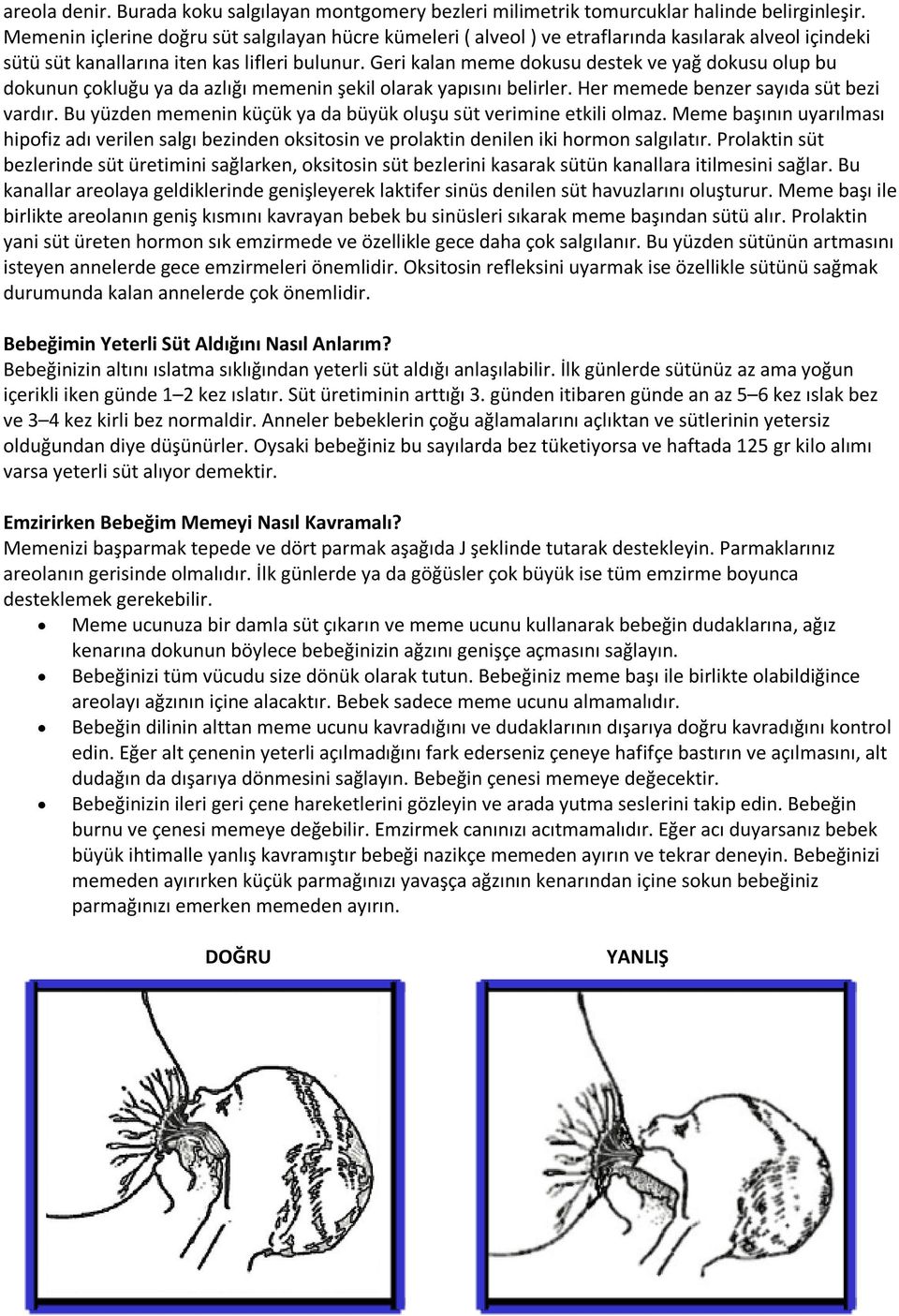 Geri kalan meme dokusu destek ve yağ dokusu olup bu dokunun çokluğu ya da azlığı memenin şekil olarak yapısını belirler. Her memede benzer sayıda süt bezi vardır.