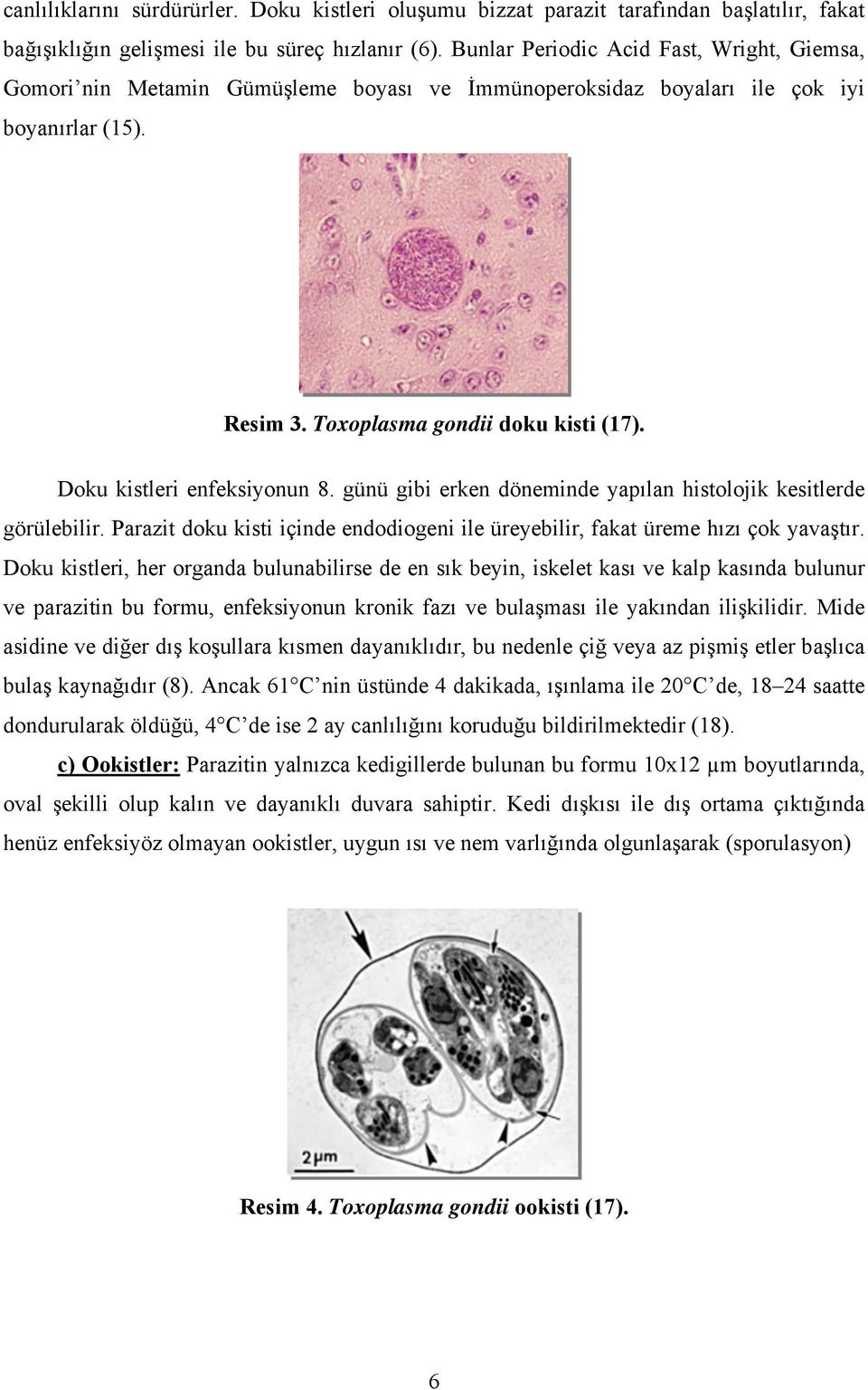 Doku kistleri enfeksiyonun 8. günü gibi erken döneminde yapılan histolojik kesitlerde görülebilir. Parazit doku kisti içinde endodiogeni ile üreyebilir, fakat üreme hızı çok yavaştır.