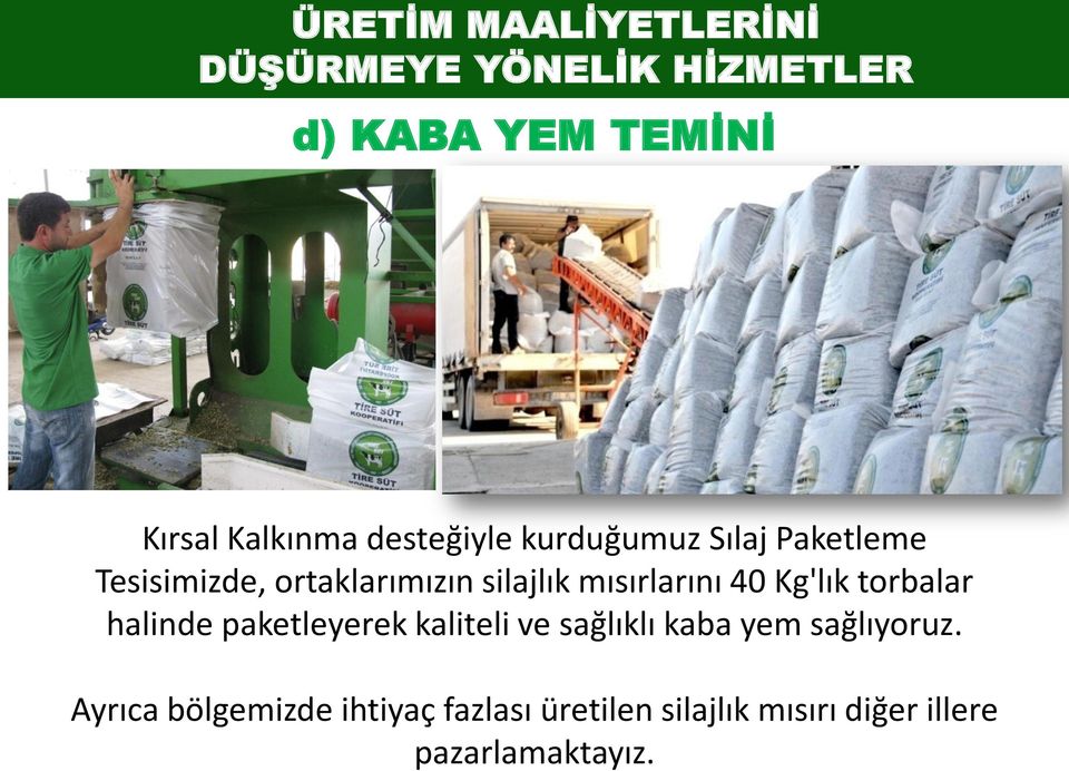 mısırlarını 40 Kg'lık torbalar halinde paketleyerek kaliteli ve sağlıklı kaba yem