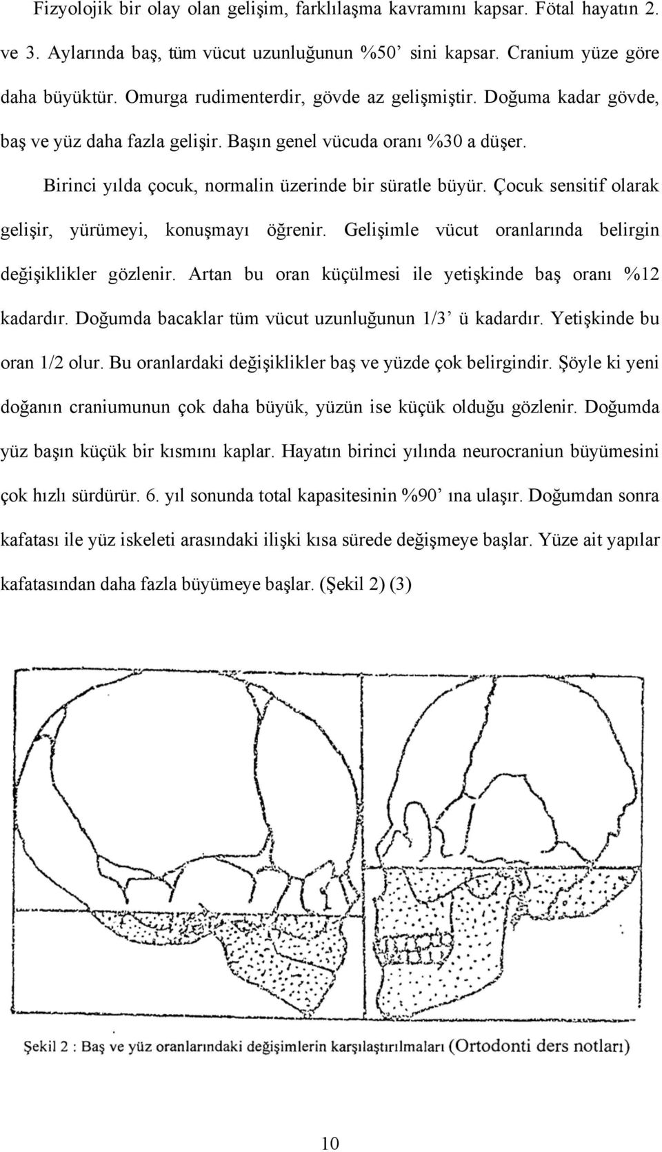 Çocuk sensitif olarak gelişir, yürümeyi, konuşmayı öğrenir. Gelişimle vücut oranlarında belirgin değişiklikler gözlenir. Artan bu oran küçülmesi ile yetişkinde baş oranı %12 kadardır.