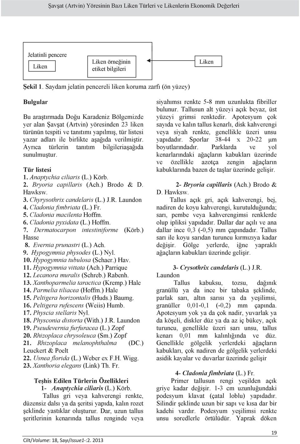 yazar adları ile birlikte aşağıda verilmiştir. Ayrıca türlerin tanıtım bilgileriaşağıda sunulmuştur. Tür listesi 1. Anaptychia ciliaris (L.) Körb. 2. Bryoria capillaris (Ach.) Brodo & D. Hawksw. 3.