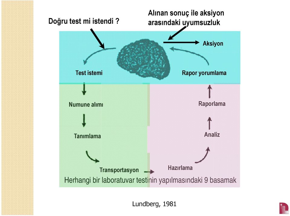 istemi Rapor yorumlama Numune alımı Raporlama Tanımlama