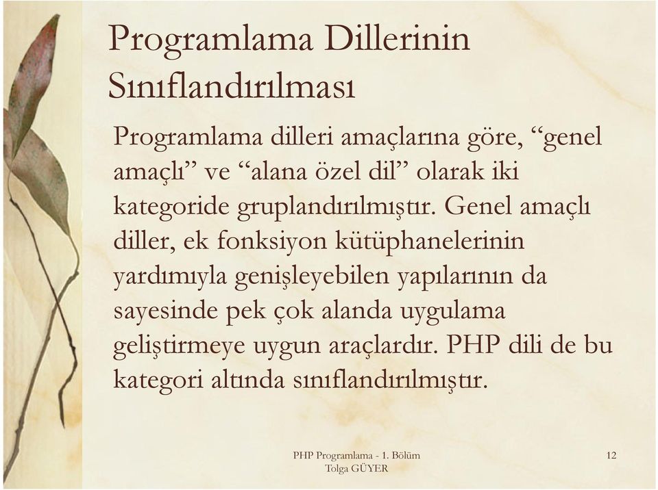 Genel amaçlı diller, ek fonksiyon kütüphanelerinin yardımıyla genişleyebilen yapılarının