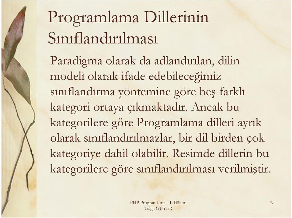 Ancak bu kategorilere göre Programlama dilleri ayrık olarak sınıflandırılmazlar, bir dil birden