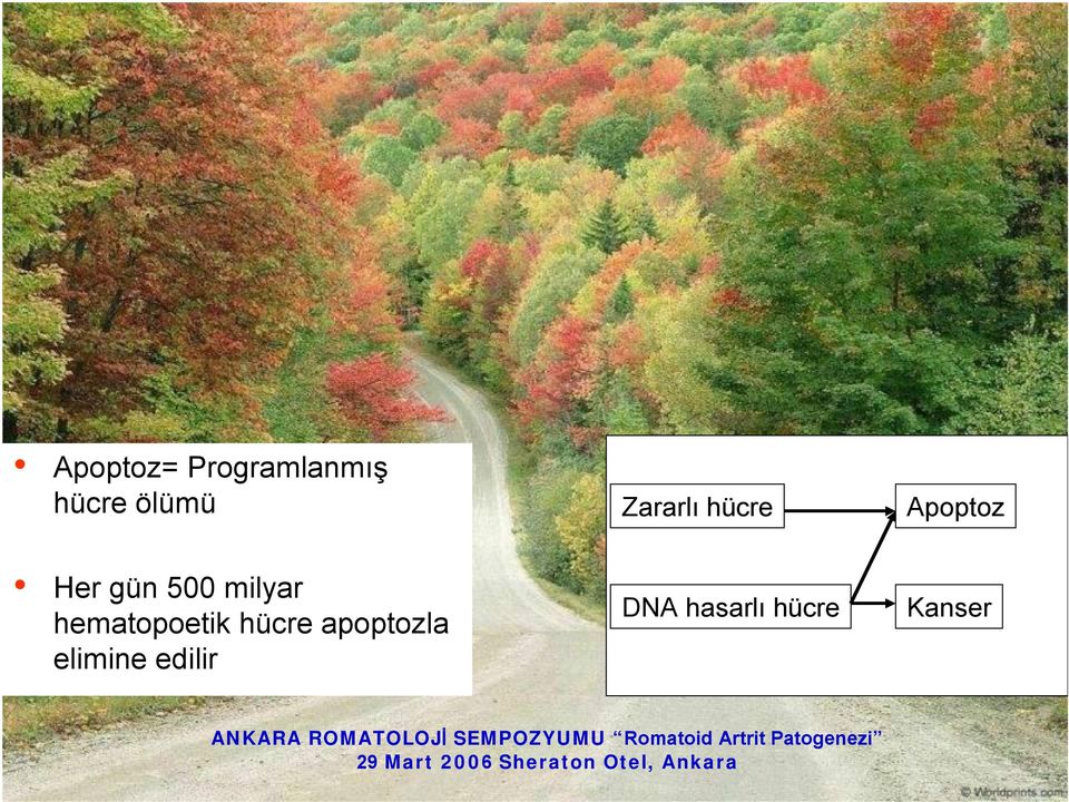 milyar hematopoetik hücre apoptozla