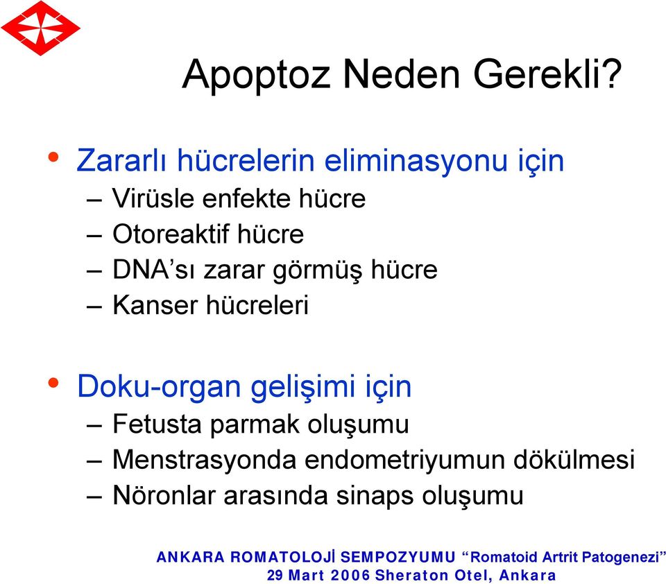 Otoreaktif hücre DNA sı zarar görmüş hücre Kanser hücreleri