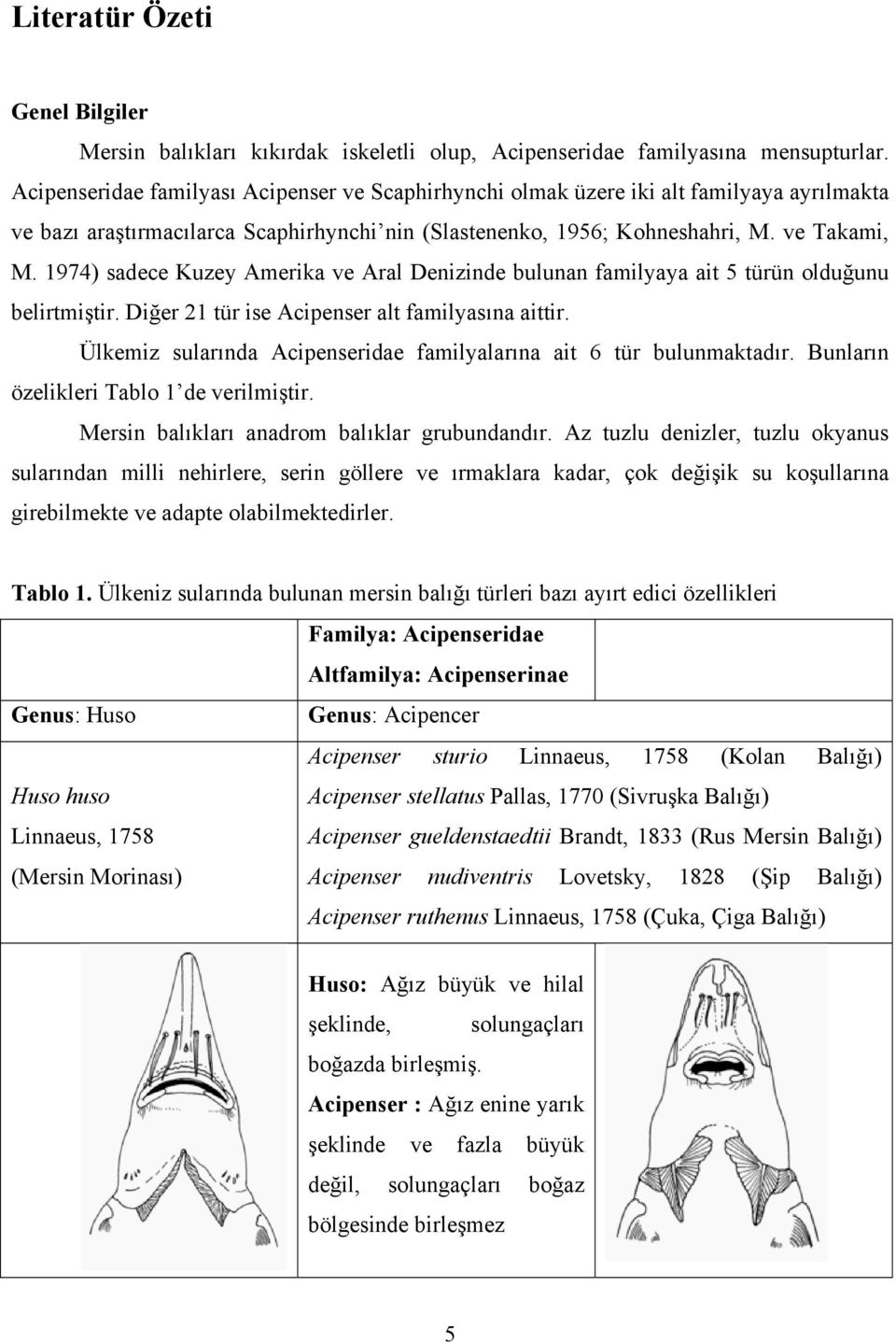 1974) sadece Kuzey Amerika ve Aral Denizinde bulunan familyaya ait 5 türün olduğunu belirtmiştir. Diğer 21 tür ise Acipenser alt familyasına aittir.