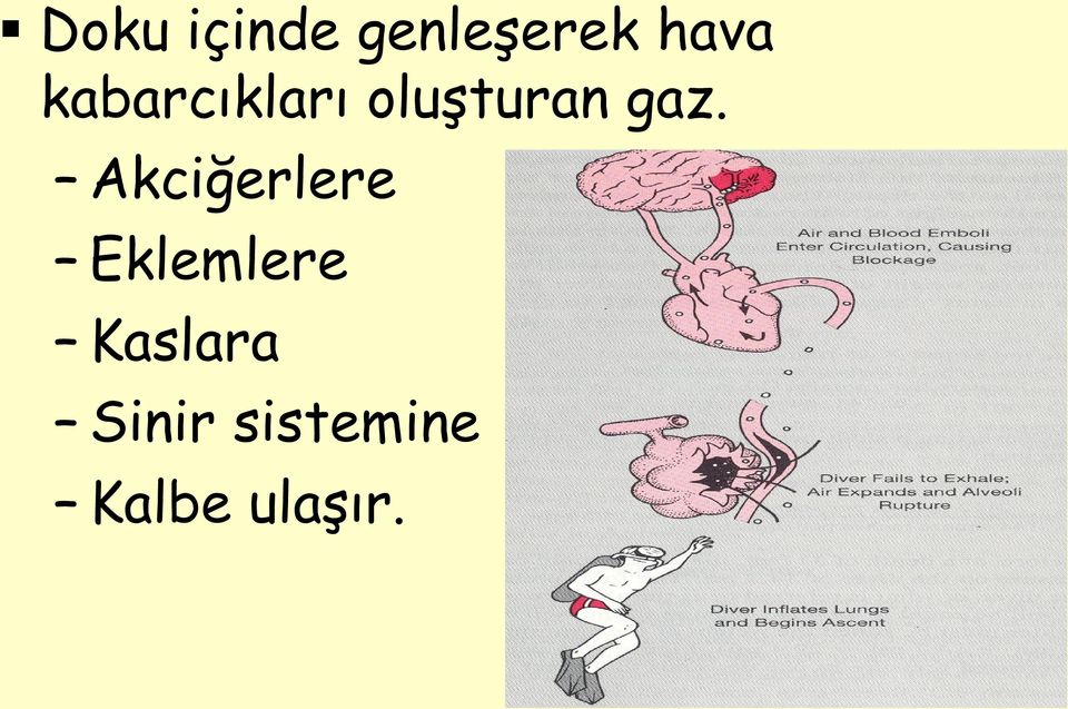 Akciğerlere Eklemlere