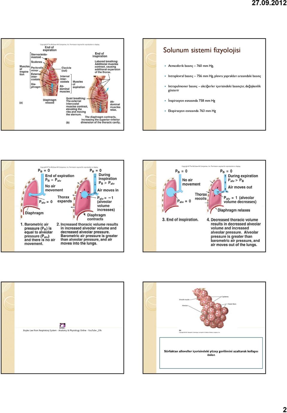 esnasında 758 mm Hg Ekspirasyon esnasında 763 mm Hg Boyles Law from Respiratory System - Anatomy &