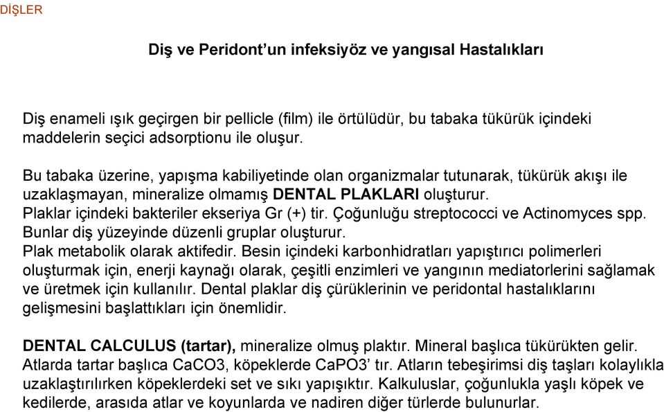 Çoğunluğu streptococci ve Actinomyces spp. Bunlar diş yüzeyinde düzenli gruplar oluşturur. Plak metabolik olarak aktifedir.