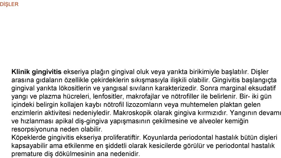 Bir- iki gün içindeki belirgin kollajen kaybı nötrofil lizozomların veya muhtemelen plaktan gelen enzimlerin aktivitesi nedeniyledir. Makroskopik olarak gingiva kırmızıdır.