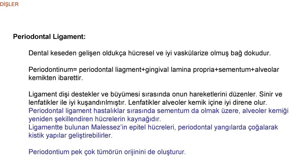 Ligament dişi destekler ve büyümesi sırasında onun hareketlerini düzenler. Sinir ve lenfatikler ile iyi kuşandırılmıştır.