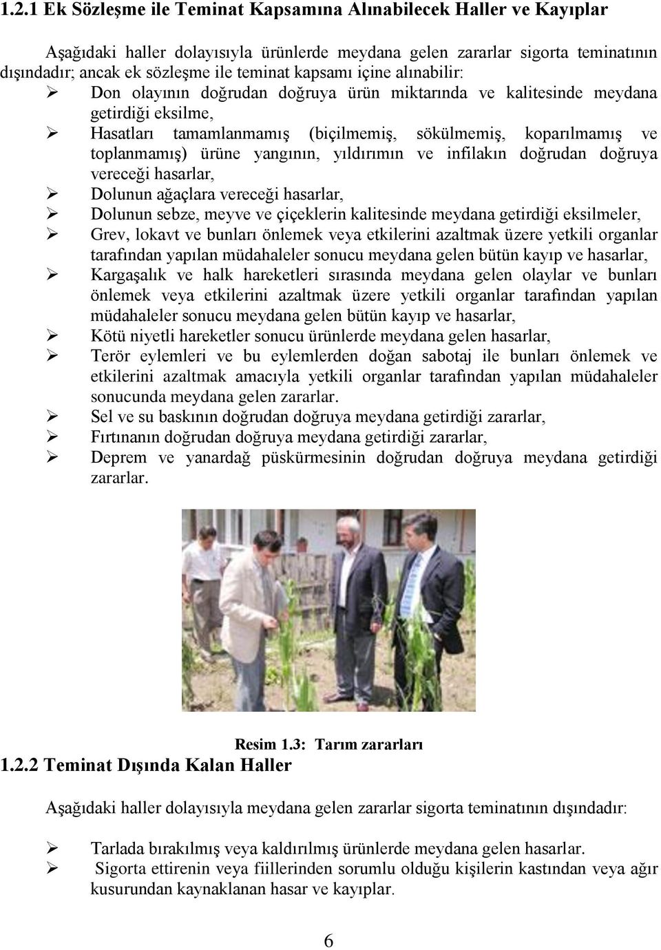 yangının, yıldırımın ve infilakın doğrudan doğruya vereceği hasarlar, Dolunun ağaçlara vereceği hasarlar, Dolunun sebze, meyve ve çiçeklerin kalitesinde meydana getirdiği eksilmeler, Grev, lokavt ve