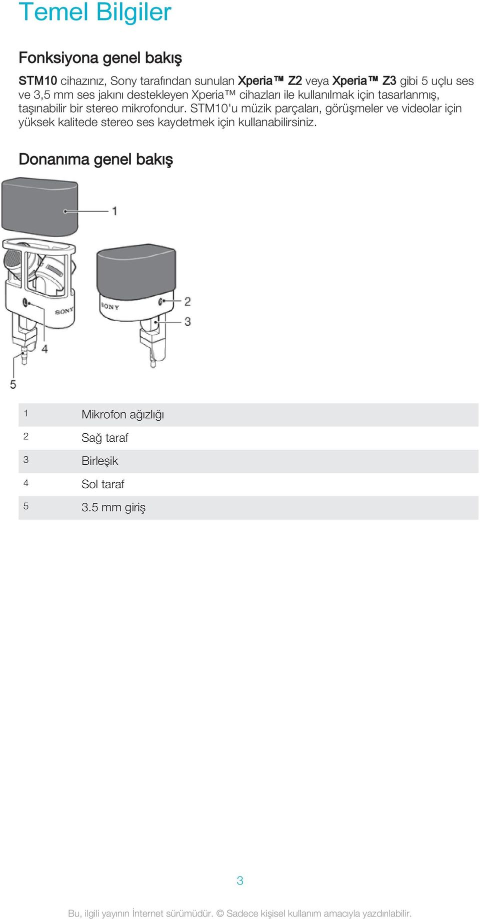 stereo mikrofondur.