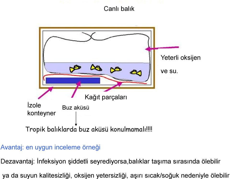 konulmamalı!