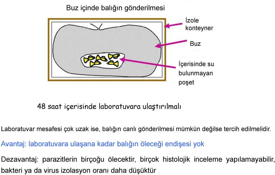 tercih edilmelidir.