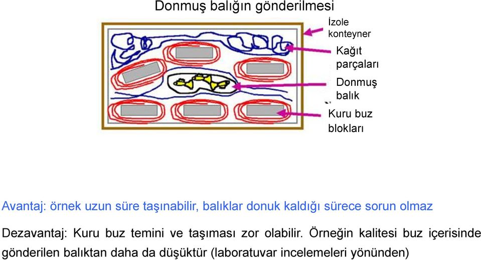 olmaz Dezavantaj: Kuru buz temini ve taşıması zor olabilir.