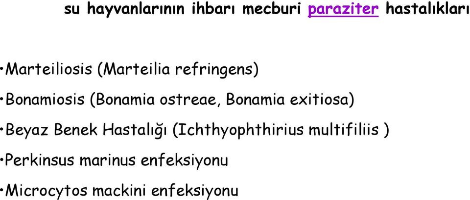 ostreae, Bonamia exitiosa) Beyaz Benek Hastalığı