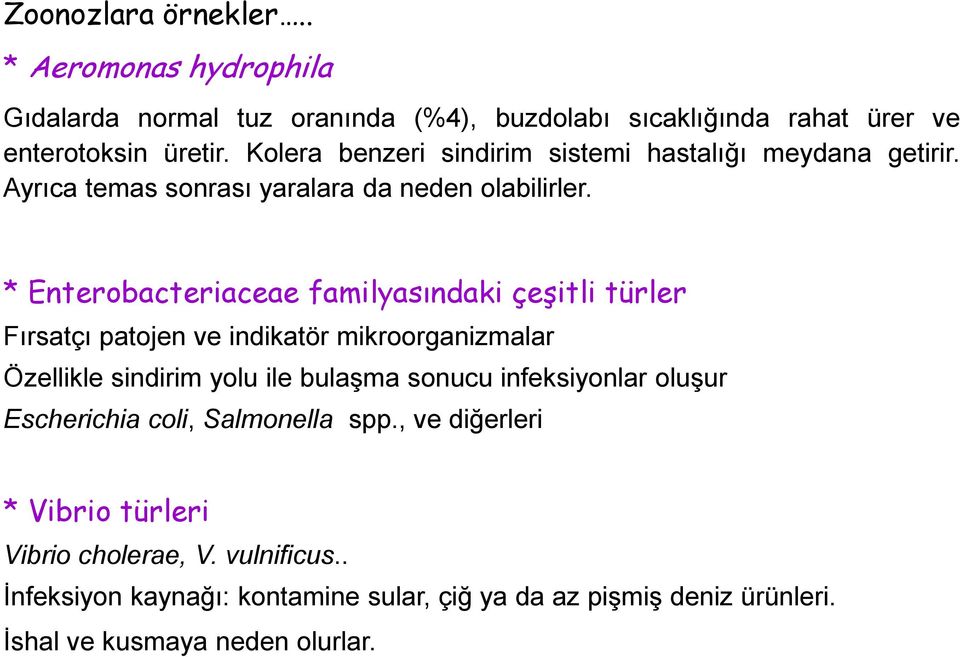 * Enterobacteriaceae familyasındaki çeşitli türler Fırsatçı patojen ve indikatör mikroorganizmalar Özellikle sindirim yolu ile bulaşma sonucu