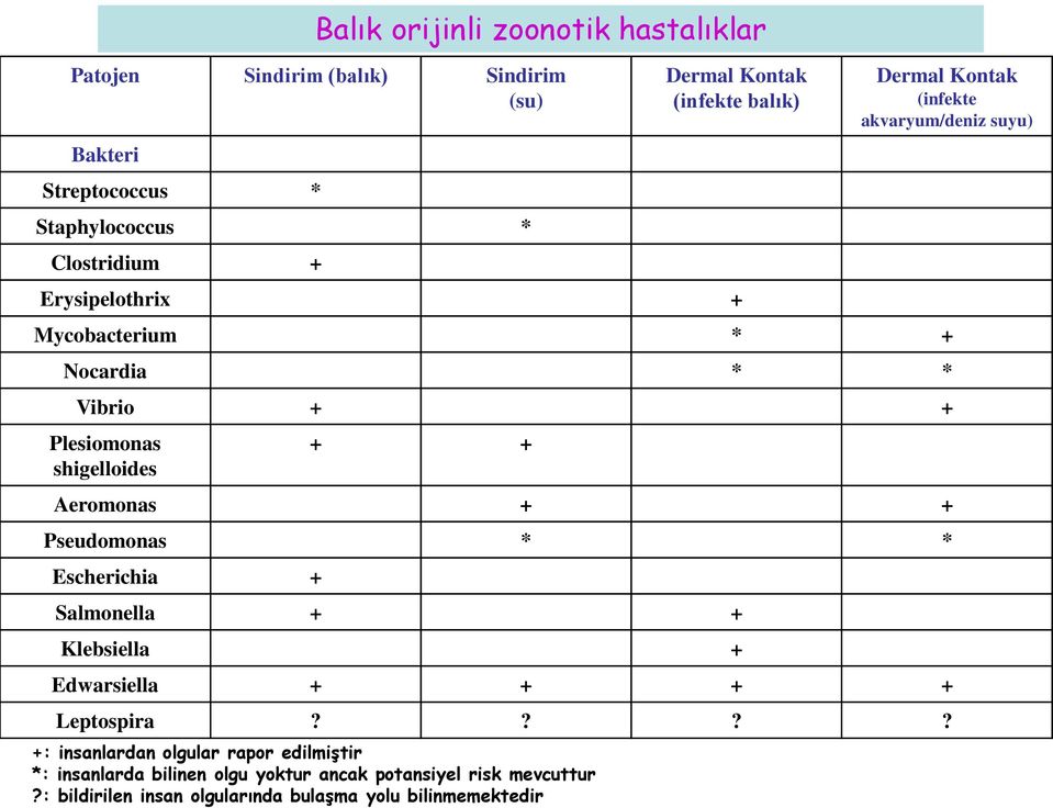 shigelloides + + Aeromonas + + Pseudomonas * * Escherichia + Salmonella + + Klebsiella + Edwarsiella + + + + Leptospira?