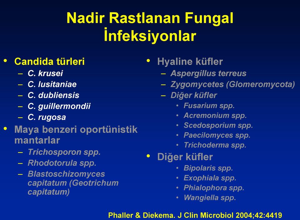 Blastoschizomyces capitatum (Geotrichum capitatum) Hyaline küfler Aspergillus terreus Zygomycetes (Glomeromycota) Diğer küfler