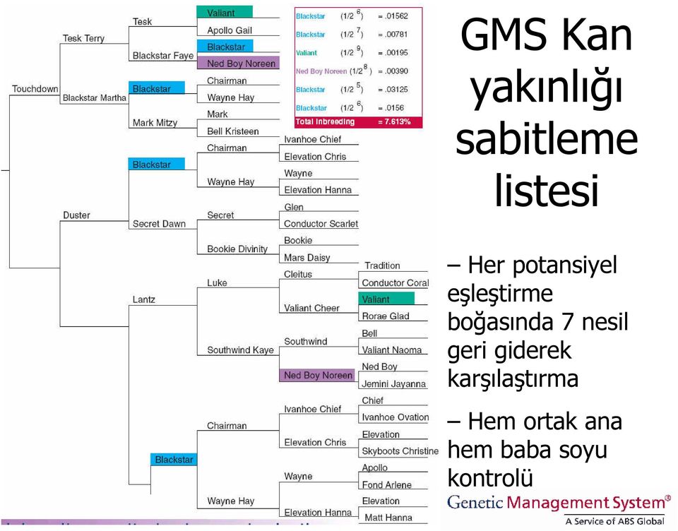 7 nesil geri giderek karşılaştırma