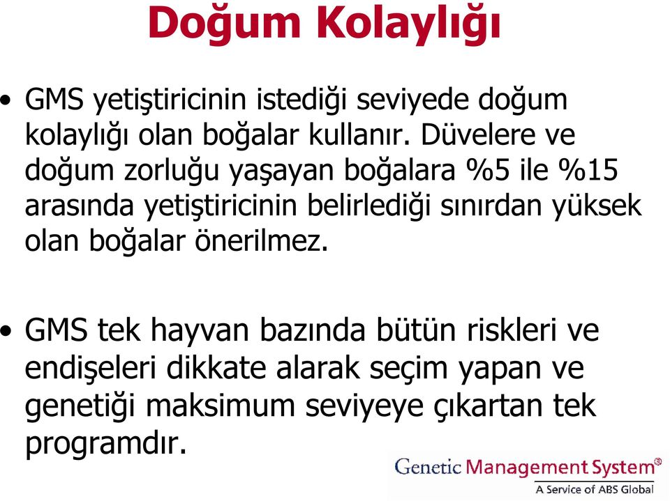 Düvelere ve doğum zorluğu yaşayan boğalara %5 ile %15 arasında yetiştiricinin