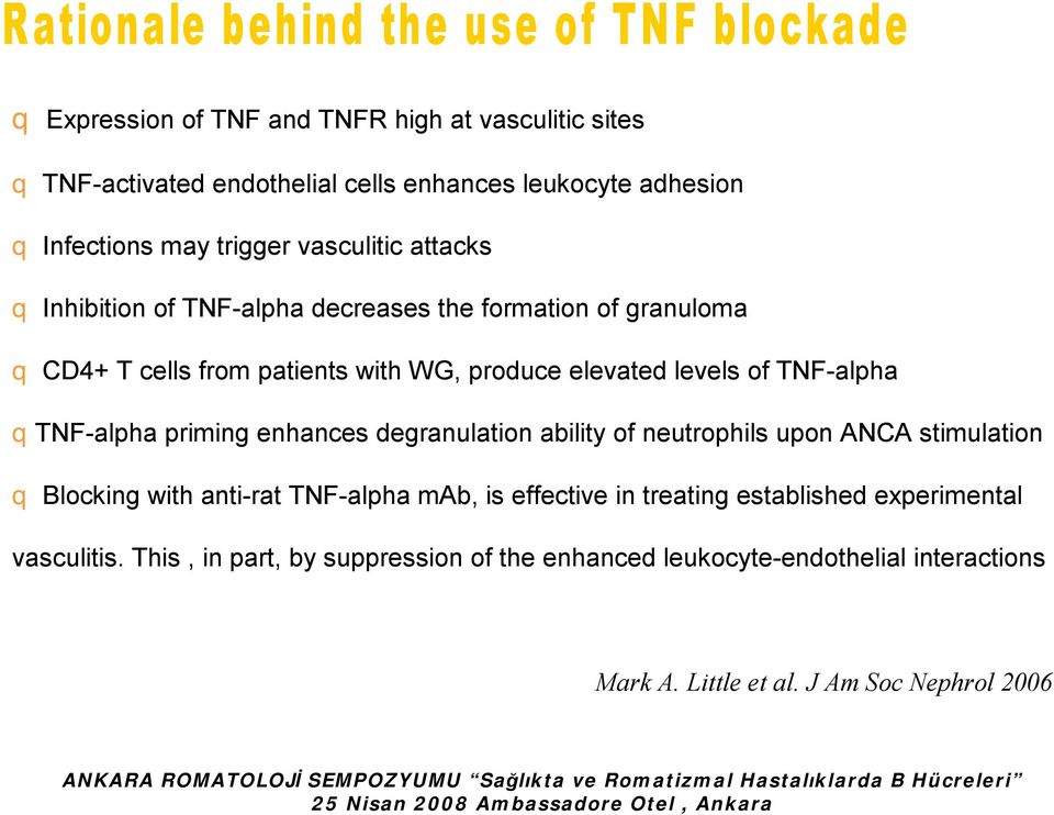 ability of neutrophils upon ANCA stimulation q Blocking with anti-rat TNF-alpha mab, is effective in treating established experimental vasculitis.