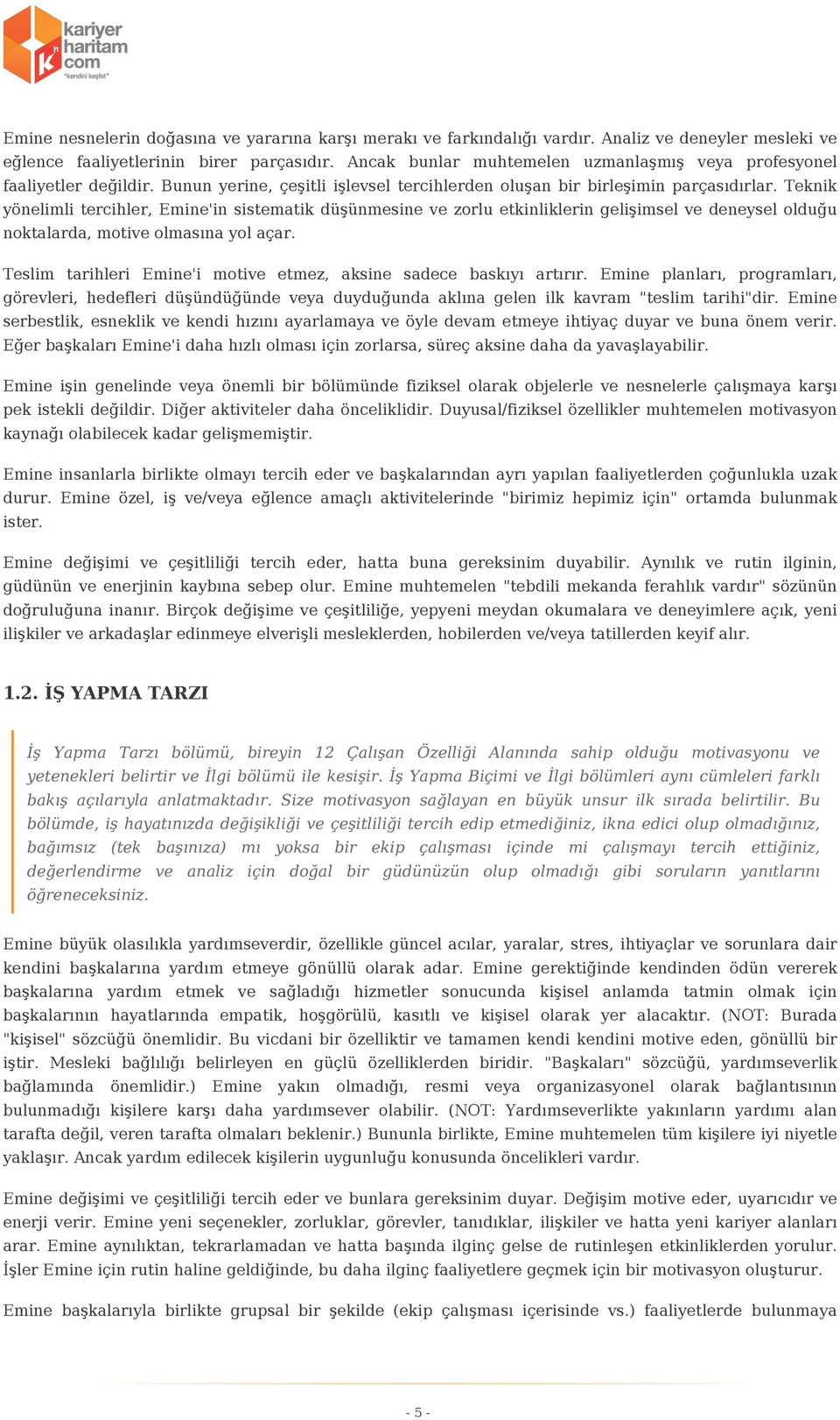 Teknik yönelimli tercihler, Emine'in sistematik düşünmesine ve zorlu etkinliklerin gelişimsel ve deneysel olduğu noktalarda, motive olmasına yol açar.