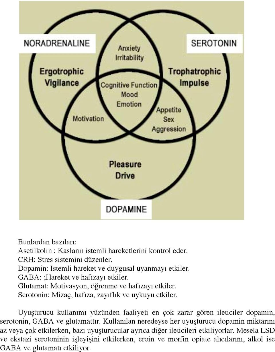 Uyuşturucu kullanımı yüzünden faaliyeti en çok zarar gören ileticiler dopamin, serotonin, GABA ve glutamattır.