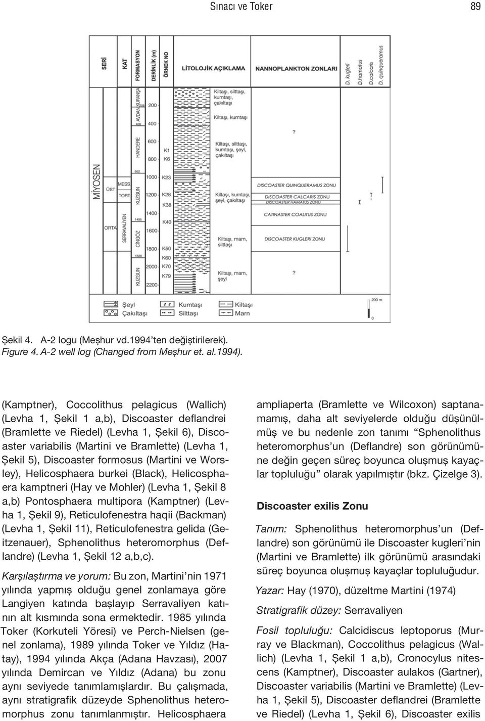 Discoaster formosus (Martini ve Worsley), Helicosphaera burkei (Black), Helicosphaera kamptneri (Hay ve Mohler) (Levha 1, Şekil 8 a,b) Pontosphaera multipora (Kamptner) (Levha 1, Şekil 9),