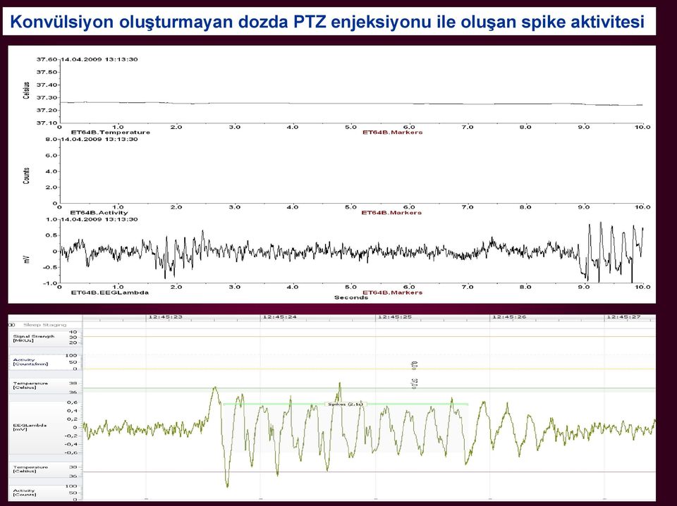 PTZ enjeksiyonu ile