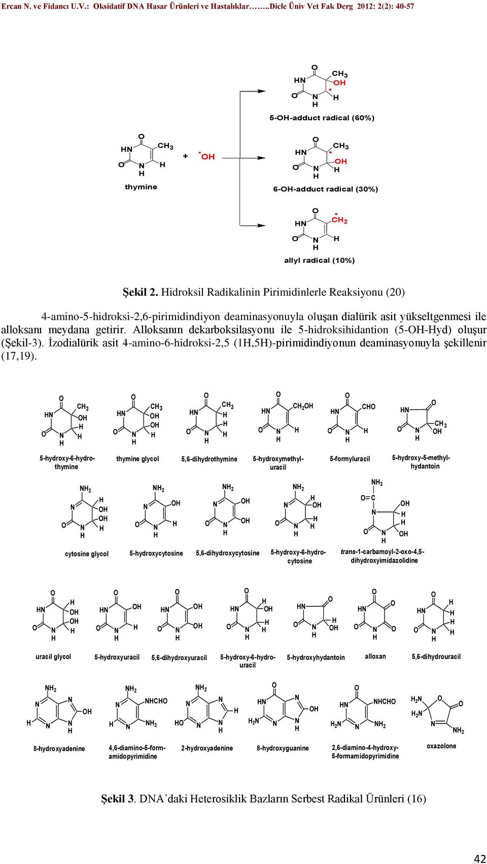 ile alloksanı meydana getirir Alloksanın dekarboksilasyonu ile 5-hidroksihidantion (5--yd) oluşur (Şekil-3) İzodialürik asit 4-amino-6-hidroksi-2,5 (1,5)-pirimidindiyonun deaminasyonuyla şekillenir