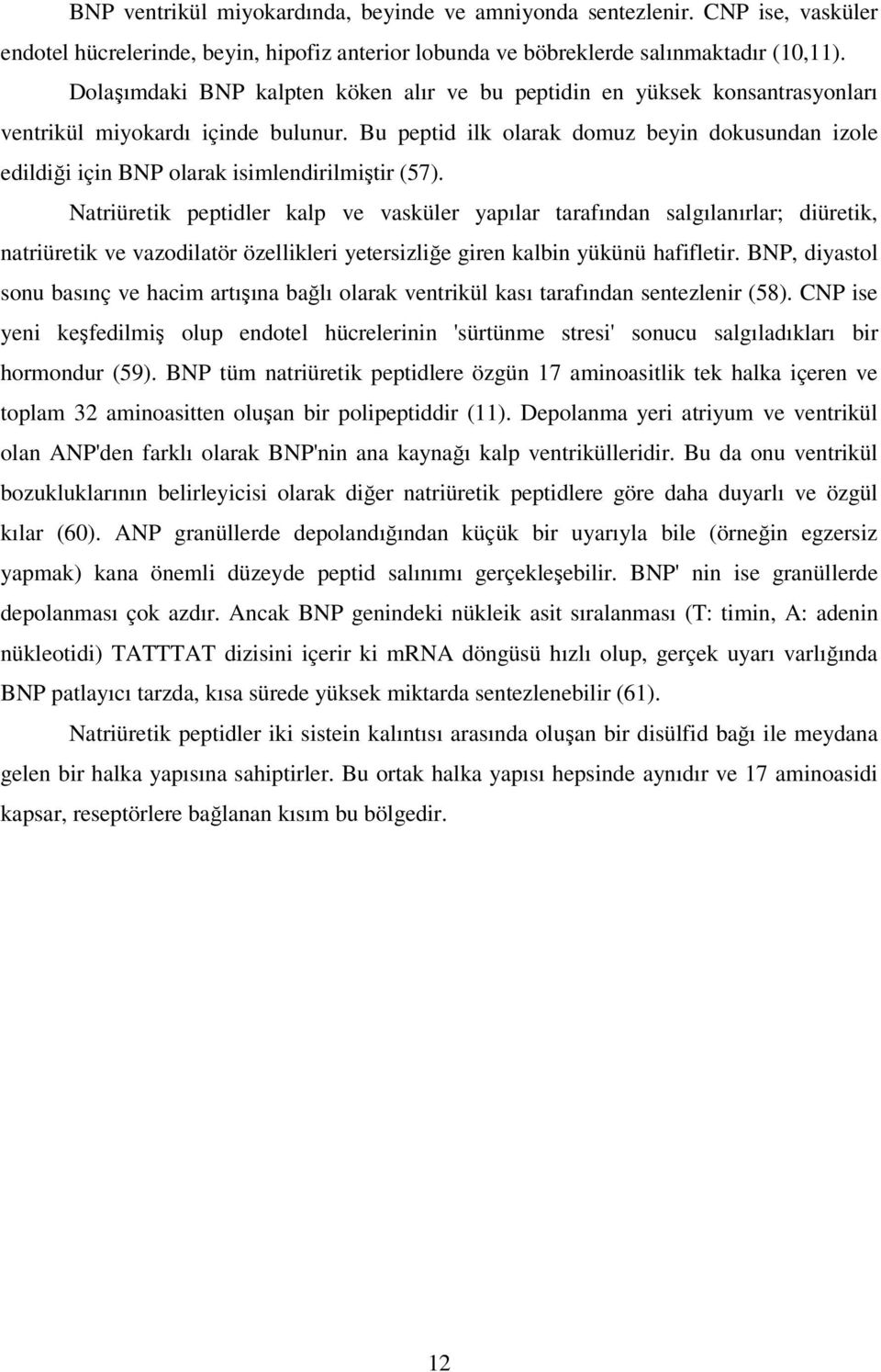 Bu peptid ilk olarak domuz beyin dokusundan izole edildiği için BNP olarak isimlendirilmiştir (57).