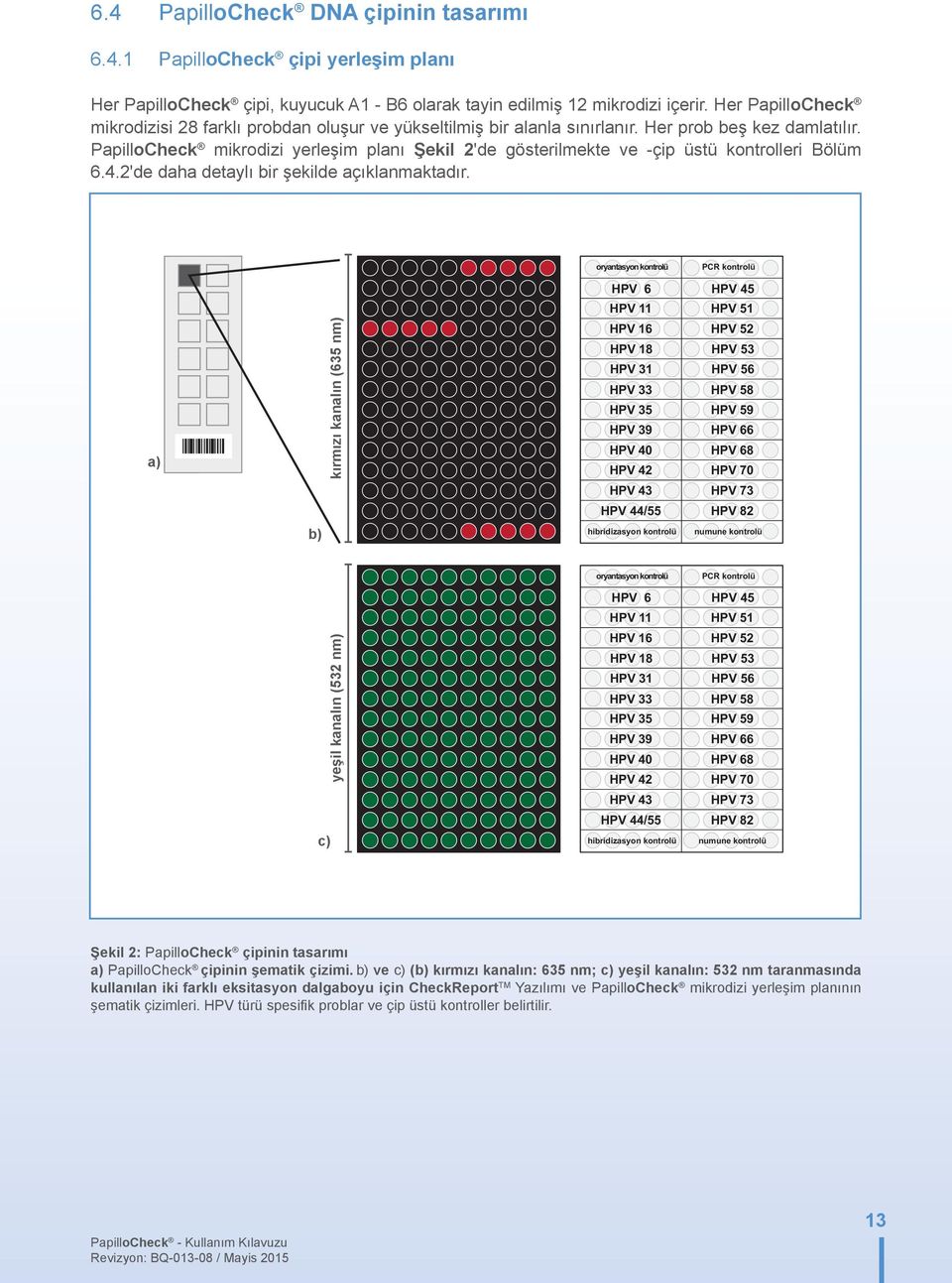 a) b) kırmızı kanalın (635 nm) yeşil kanalın (532 nm) oryantasyon kontrolü HPV 6 HPV 11 HPV 16 HPV 18 HPV 31 HPV 33 HPV 35 HPV 39 HPV 40 HPV 42 HPV 43 HPV 44/55 hibridizasyon kontrolü oryantasyon