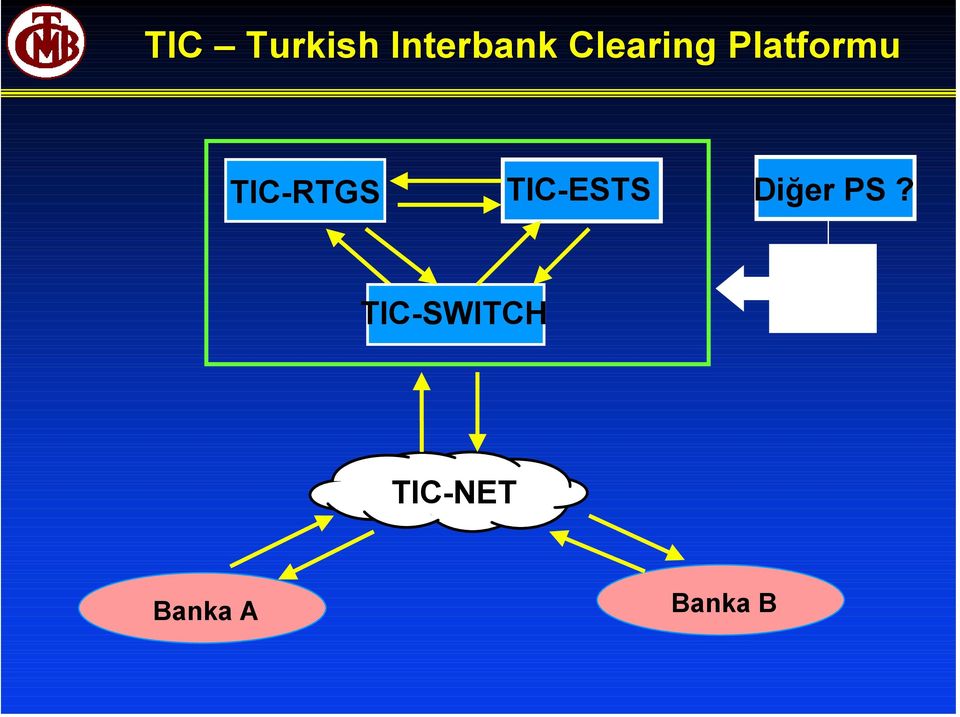 TIC-RTGS TIC-ESTS Diğer