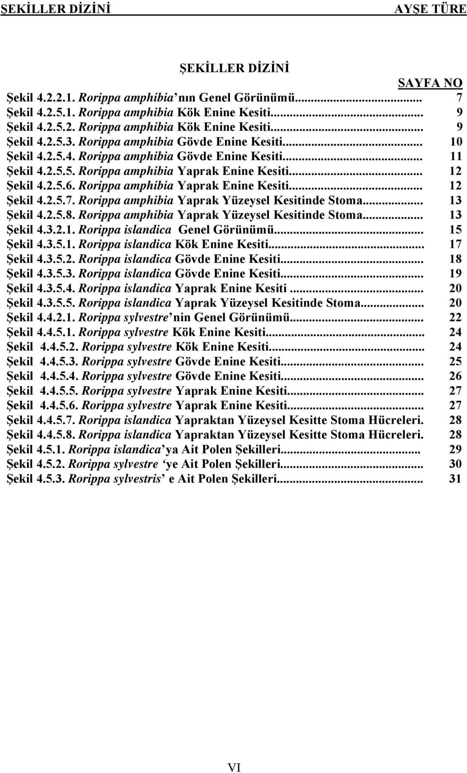 Rorippa amphibia Yaprak Enine Kesiti... 12 Şekil 4.2.5.7. Rorippa amphibia Yaprak Yüzeysel Kesitinde Stoma... 13 Şekil 4.2.5.8. Rorippa amphibia Yaprak Yüzeysel Kesitinde Stoma... 13 Şekil 4.3.2.1. Rorippa islandica Genel Görünümü.