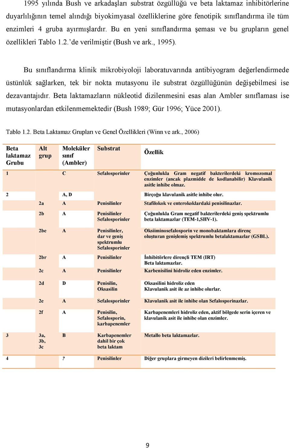 Bu sınıflandırma klinik mikrobiyoloji laboratuvarında antibiyogram değerlendirmede üstünlük sağlarken, tek bir nokta mutasyonu ile substrat özgüllüğünün değişebilmesi ise dezavantajıdır.