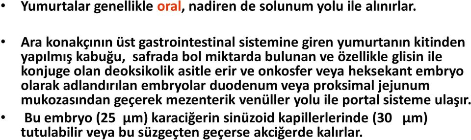 glisin ile konjuge olan deoksikolik asitle erir ve onkosfer veya heksekant embryo olarak adlandırılan embryolar duodenum veya